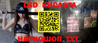 Альфа ПВП Вышний Волочёк