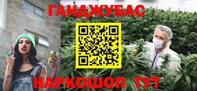 Альфа ПВП Вышний Волочёк