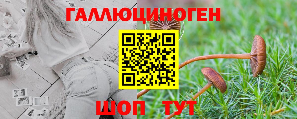 Псилоцибиновые грибы мухоморы  Псилоцибиновые грибы мухоморы  Вход с VPN  Великий Устюг 